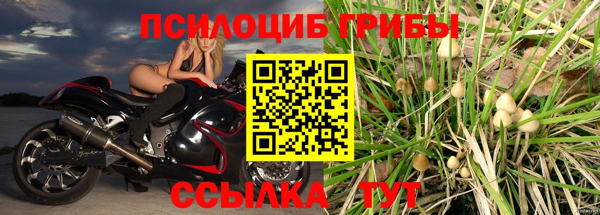 Псилоцибиновые грибы Magic Shrooms Александров