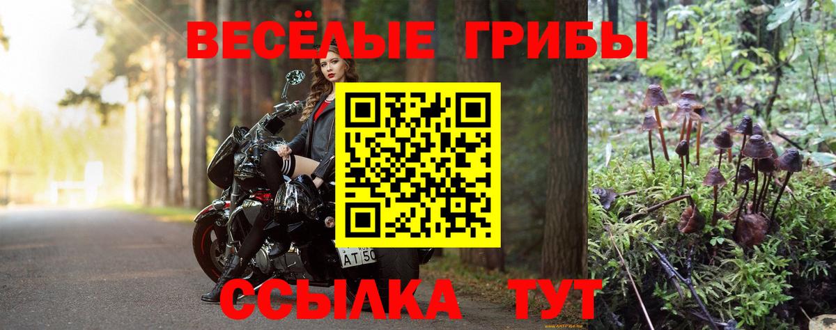 Псилоцибиновые грибы ЛСД  Вход с VPN  Александров 
